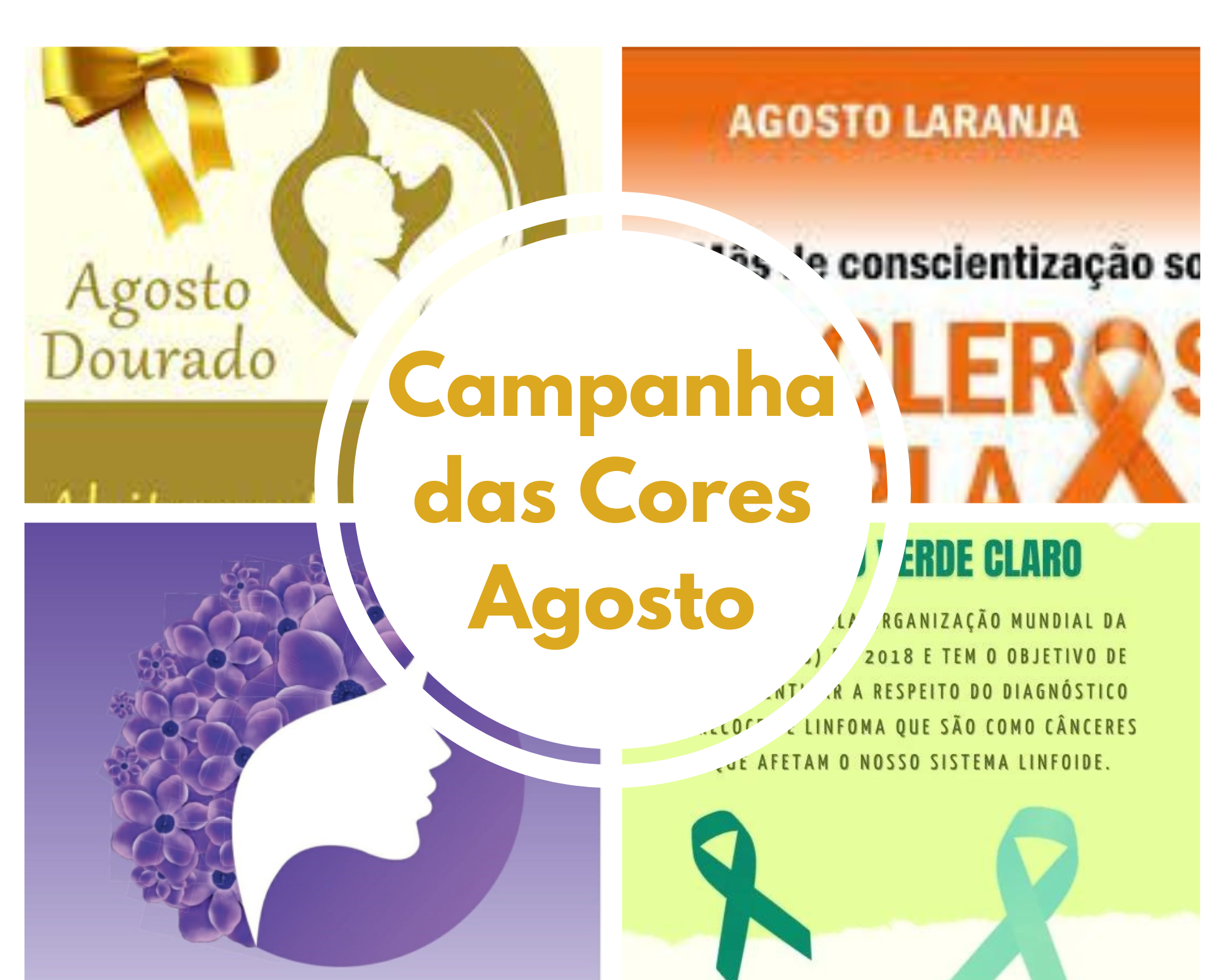 Leia mais sobre o artigo Campanha das Cores: Agosto