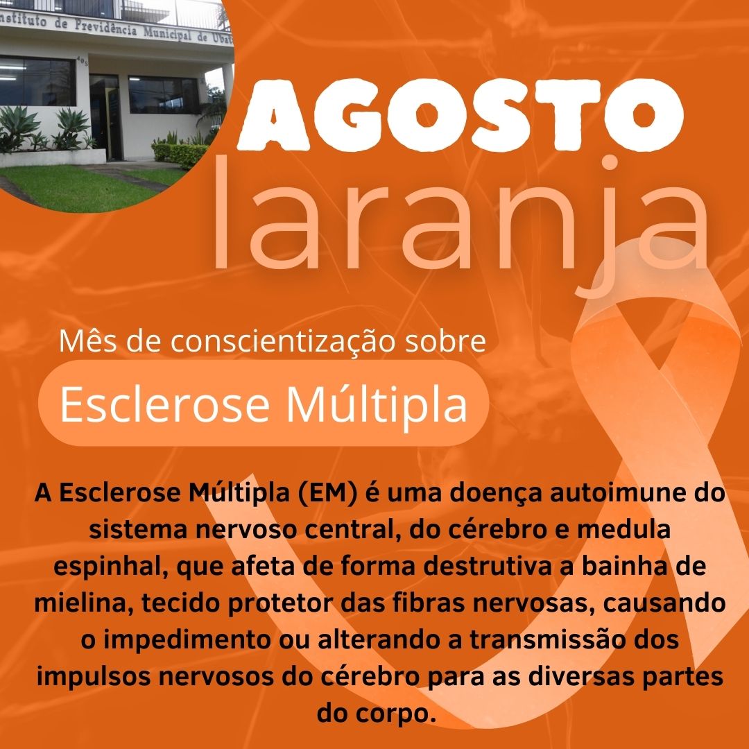 Leia mais sobre o artigo Campanha das Cores: Agosto Laranja